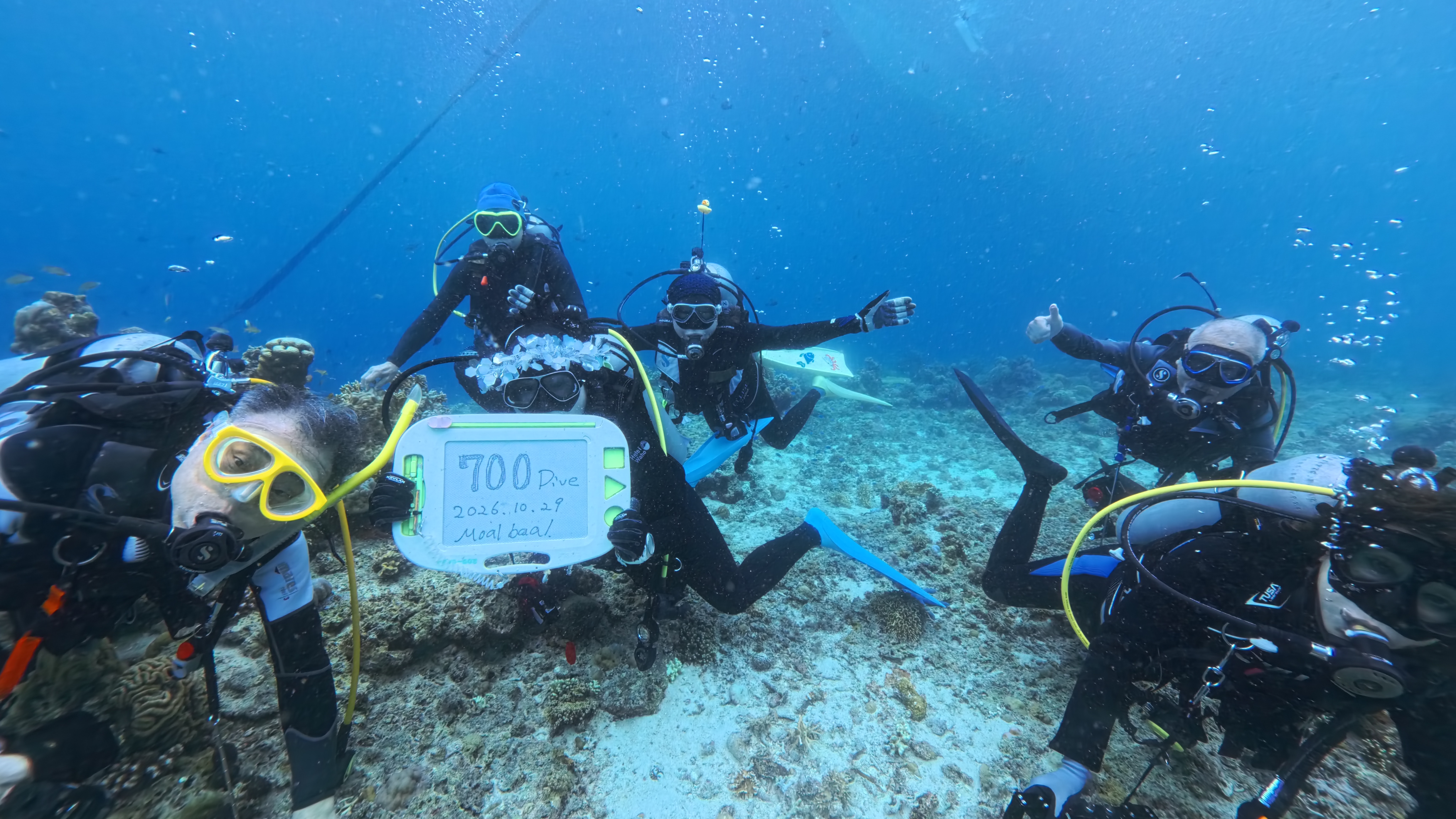 700dive