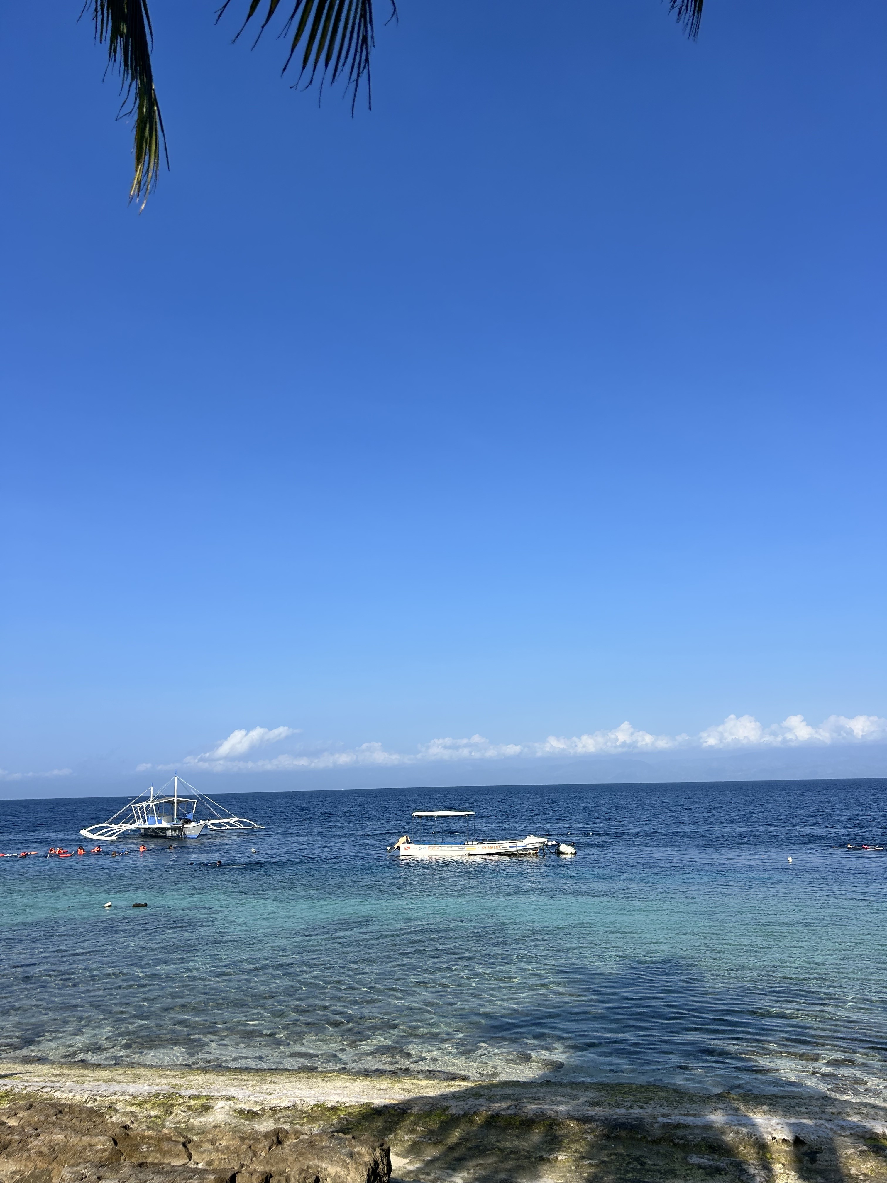 暑くなってきた