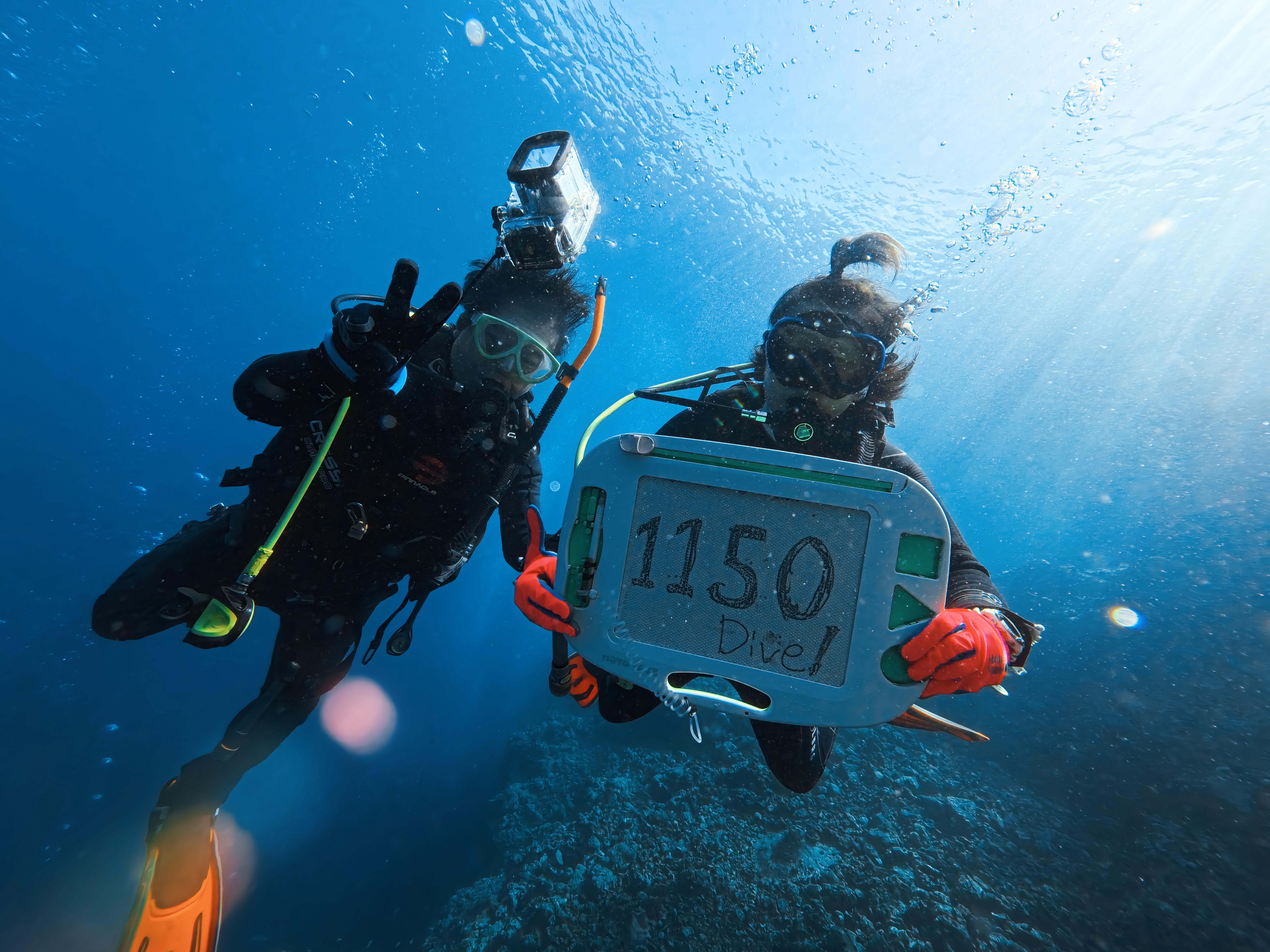 1150ダイブ！